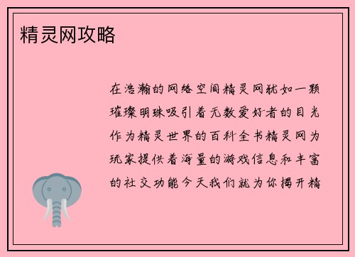 精灵网攻略